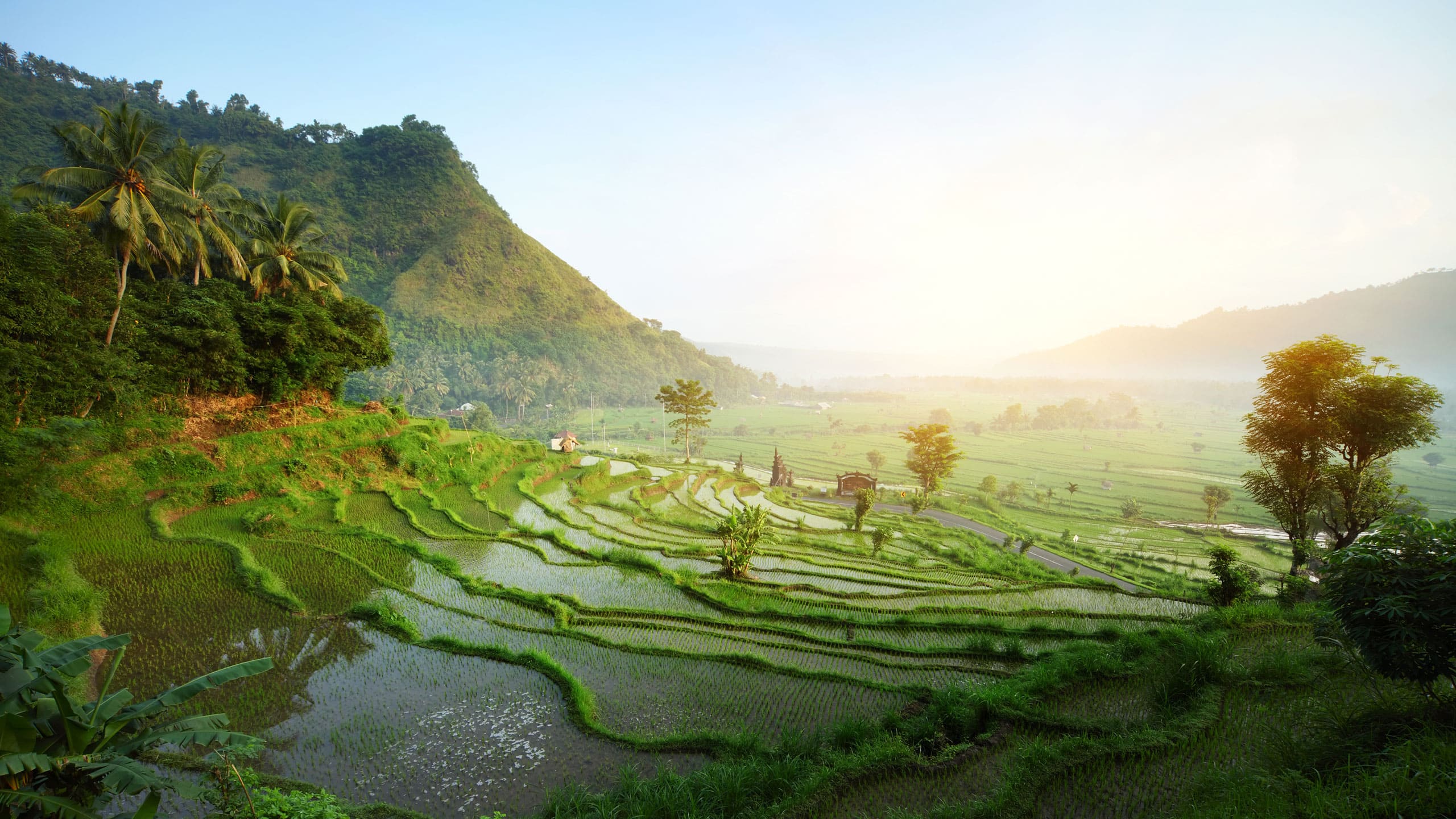 Picturesque Solo Bali And Ubud Tour