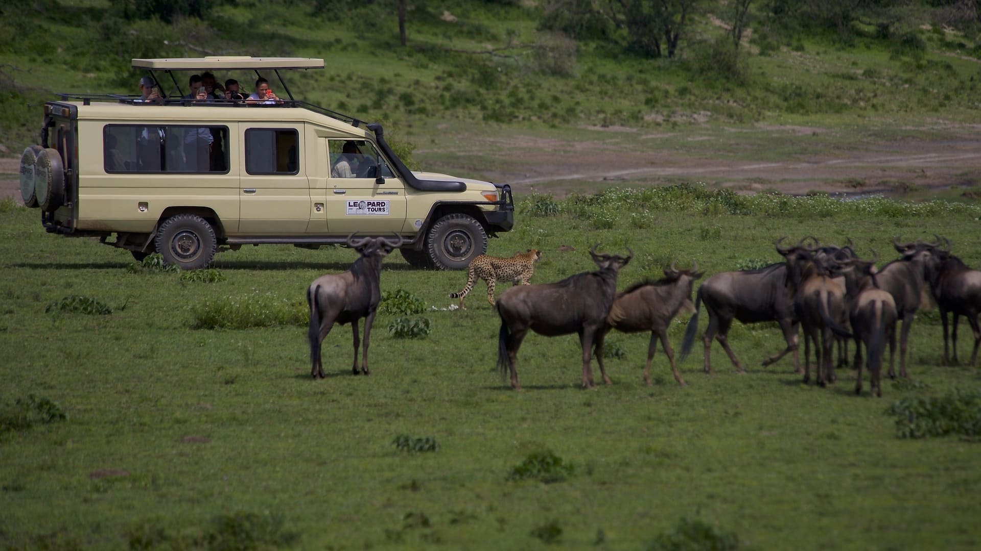 Picturesque Solo Tanzania Tour