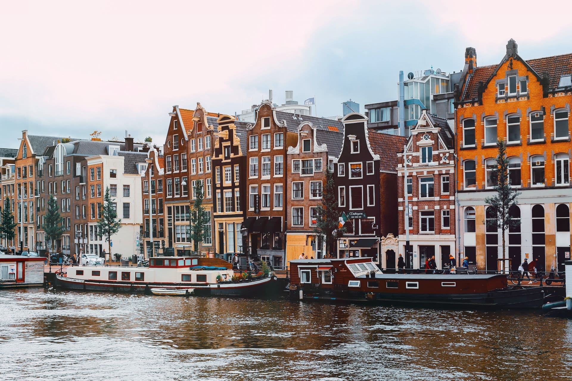 Picturesque Solo Rhine Cruise