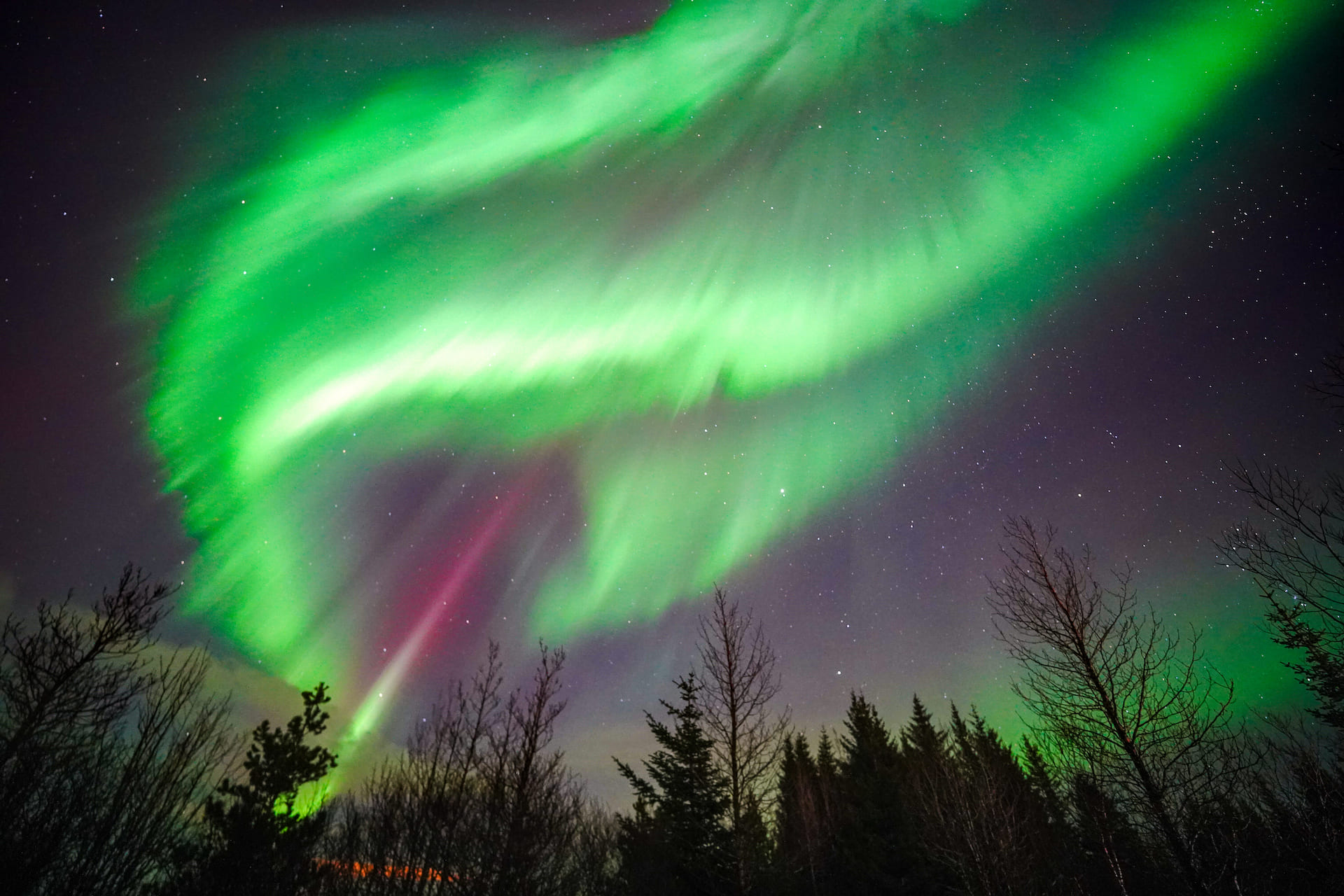 Picturesque Solo Northern lights and Golden Circle of Iceland Tour