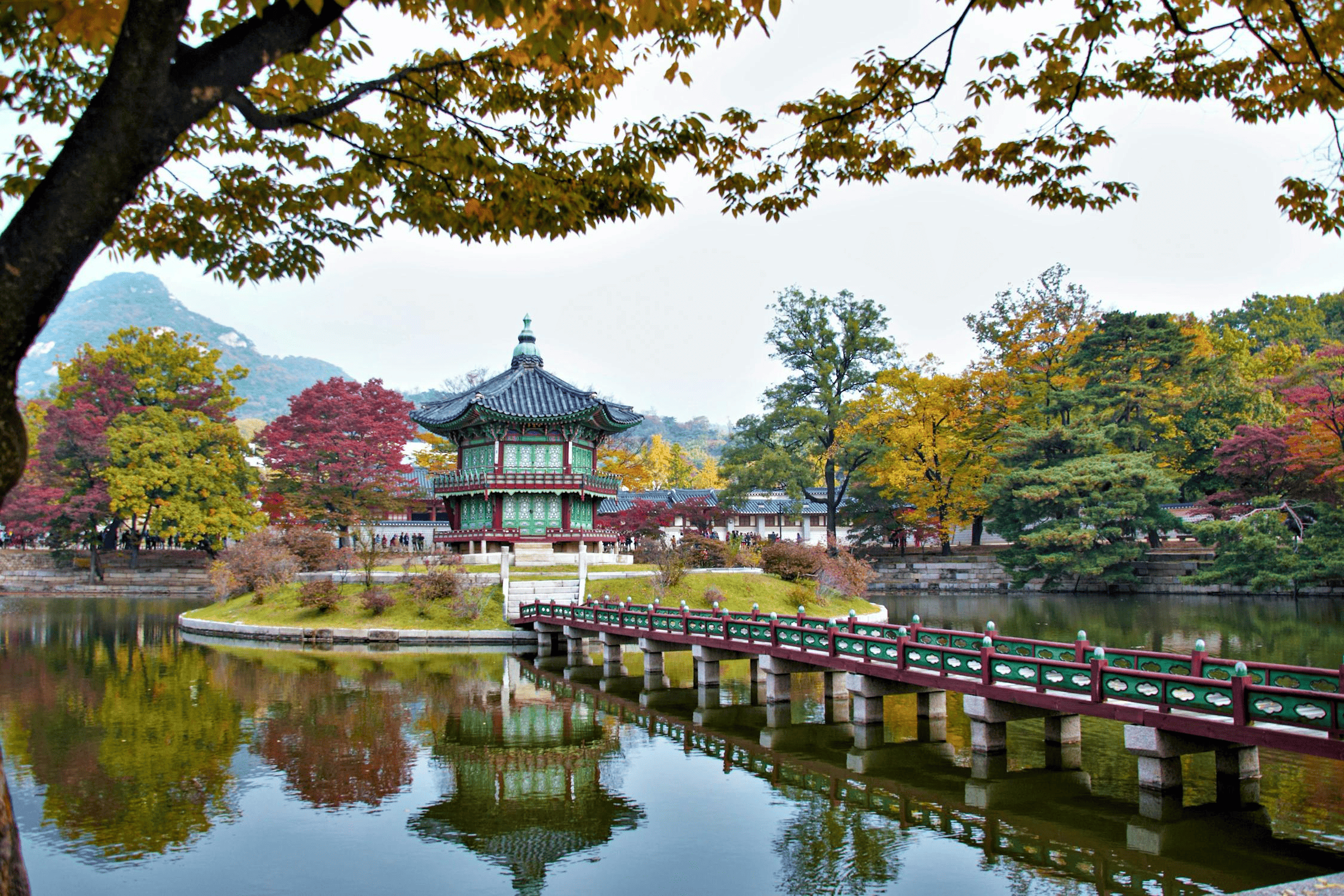 Picturesque Solo Korea Tour
