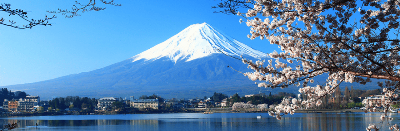 Picturesque Solo Japan Tour